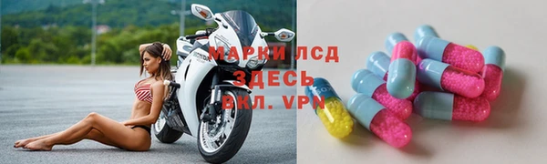 прущие грибы Володарск