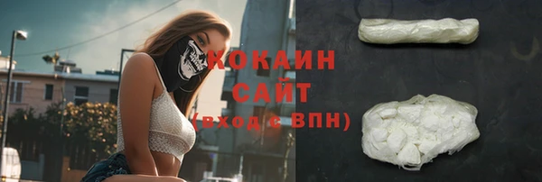 СК Горняк