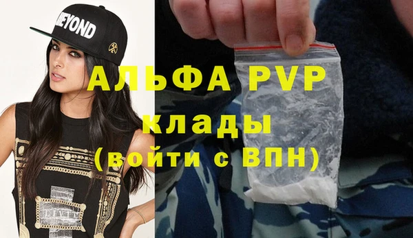 прущие грибы Горнозаводск