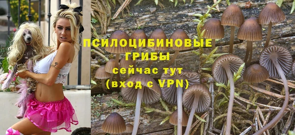 прущие грибы Володарск